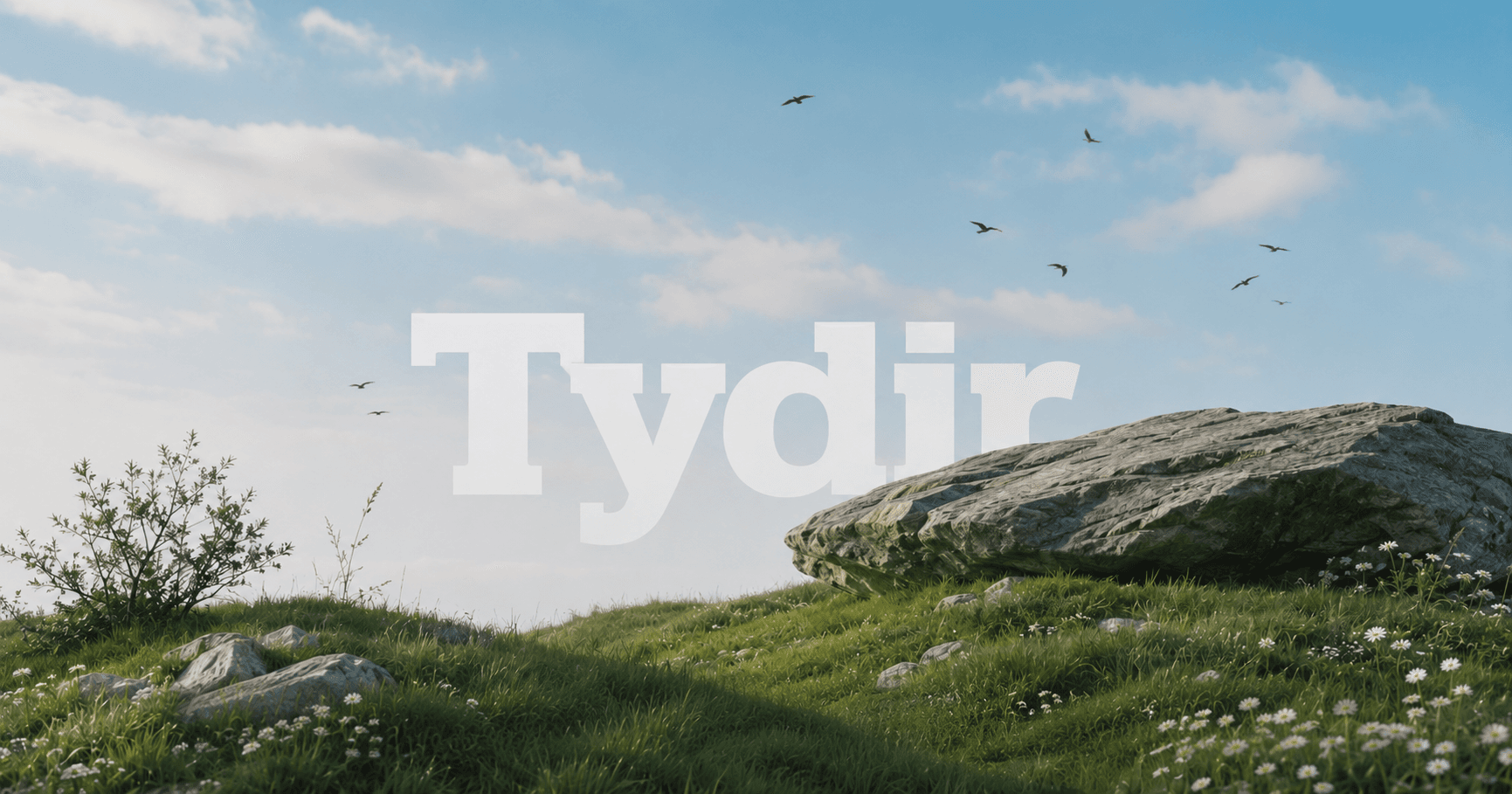 Tydir footer background