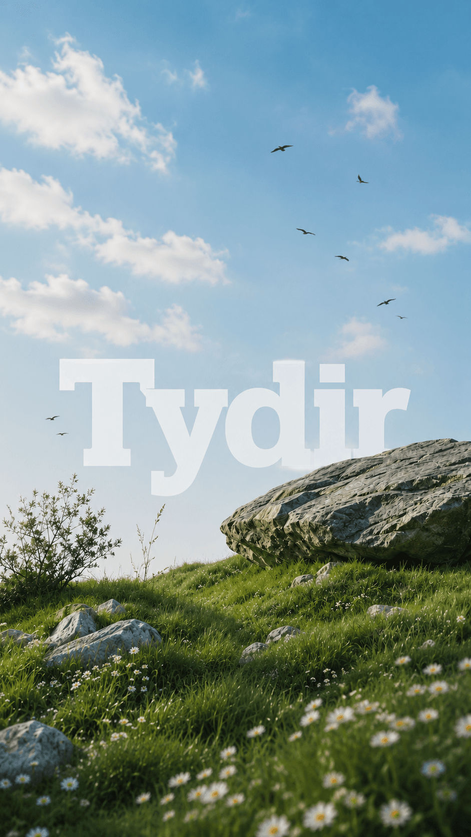 Tydir footer background